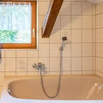 Appartementkombination Brixnerwirt Iii Und Iv * Brixen im Thale